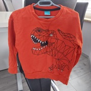 Bluza chłopiec rozm. 116