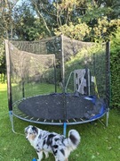 Trampolina polgar 305 cm