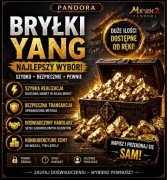 Pandora Bryłki Yang 1B=0,35zł | Pewne Źródło | Szybko i Bezpiecznie