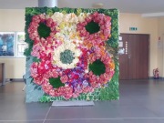 ścianka dekoracyjna