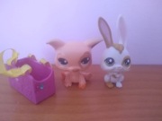 LPS - jelonek,surykatka,skunks,szczotka,książka or