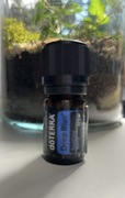 Olejek Doterra Deep Blue
