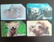 Karty telefoniczne magnetyczne TELECOM Italia