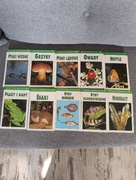 Zestaw komplet 10 tomów leksykonów przyrodniczych leksykon przyroda owady