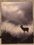 Piękny obraz myśliwski JELEŃ BYK Rykowisko. Polowanie. 30x40cm. Nowy