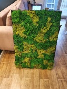 Obraz z chrabotka, mech, panel zielony 100x70cm