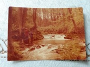 Roztocze -- pocztówka-odbitka fotograficzna - n. 600 szt - (35)