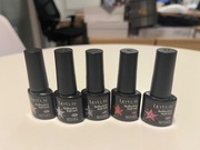 Zestaw lakierów hybrydowych 