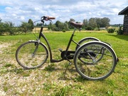 Rower trójkołowy Vermeiren 231B | Pomógł w nauce | Stan idealny!