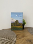 Obraz olejny ręcznie malowany “letni zachód słońca”