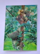 Pocztówka 3D stara - misie koala na drzewie eukaliptusowym