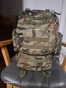 Plecak wojskowy Texar Camper 41-60 l wielokolorowy