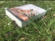 Sekretna mowa kamieni 