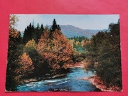 BIESZCZADY      -  Pocztówka  /  WETLINA