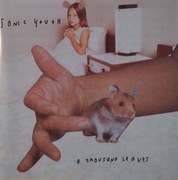 Sonic Youth – A Thousand Leaves   CD  alternative indie rock  US