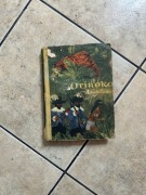 Orinoko Arkady Fiedler 