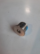 DAHON Śruba widelca