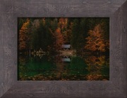 Leśne jezioro. Jesień. Drzewa. dekoracja. 50x39