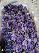 Ślaz maurytański kwiat suszony 15 g