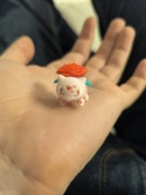 Pokemon bulbasaur wersja z różą