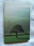 BRULION A5 - 96 KART - KRATKA