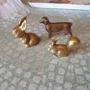 zając wiewiórka jamnik