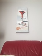 Obraz na ścianę, płótno