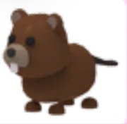 Beaver - Adopt Me Roblox