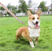 Przepiękna obroża w kwiaty  wraz ze smyczą