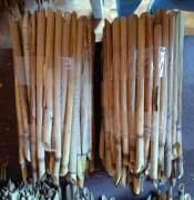 Trzcina 15 pakietów 