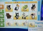 Black moon bear i inne adopt me roblox