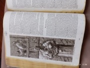 Opis świata Forgotten Realms 