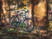  Rower GROM 60 x 60x50  XXLOsobisty odbiór OPOLEE