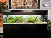 Duże Akwarium 200x60x60 wraz z pełnym wyposażeniem.