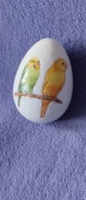 Papugi - jajko styropianowe 