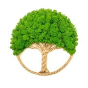 Drzewko Szczęścia Chrobotek, żywy obraz, handmade, dekoracja na ścianę 35