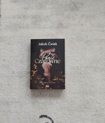 Panie Czarowne - Jakub Ćwiek 