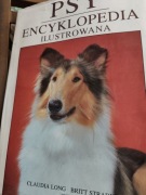 PSY - ENCYKLOPEDIA ILUSTROWANA. C. LONG, B. STRADER