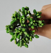 Jasnozielone pręciki ryżyk kaszka kwiatki na druciku bukiecik 12 szt.