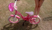 Rowerek dla dziewczynki 