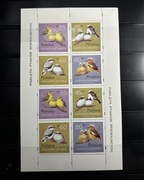 Fi 3419-22** Pisklęta Ptaków Śpiewających 