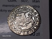 Półgrosz 1510 Wilno Zygmunt I stary 