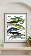 Plakat A3 gady: Waran szmaragdowozielony, Tree monitors - biały