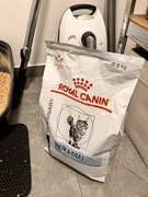 Karma Royal Canin skin coat 3,5 kg