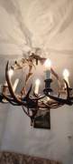 Żyrandol z rogów jelenia 