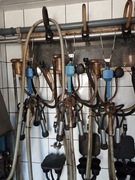 Dojarka bezprzewodowa alpha laval