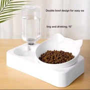 Podwójna miska z pojemnikiem na wodę dla psa i kota!