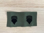 Naszywka - US Army - Specialist 6 E-6 (SP1) - para