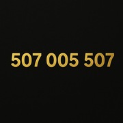 ZŁOTY numer telefonu – 507 005 507