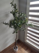 Drzewko oliwne drzewko ozdobne sztuczna ro